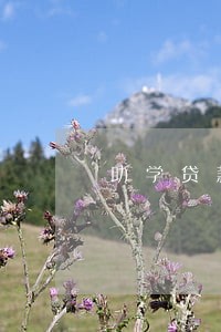 助学贷款 逾期 6期